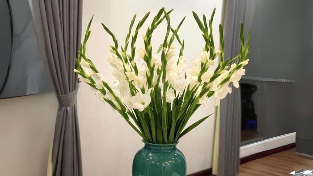 Tết nên chưng hoa gì? Hoa huệ trắng