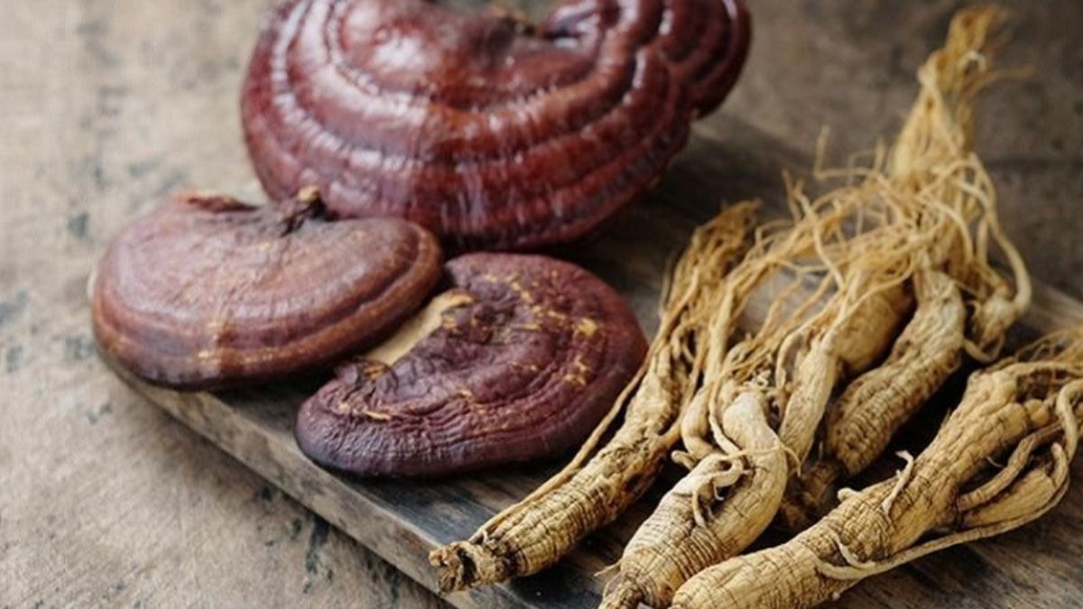 Quà Tết nên tặng gì 