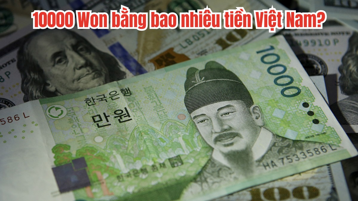10000 Won bằng bao nhiêu tiền Việt? Cách đổi tiền an toàn 10000 Won bằng bao nhiêu tiền Việt? Cách đổi tiền an toàn